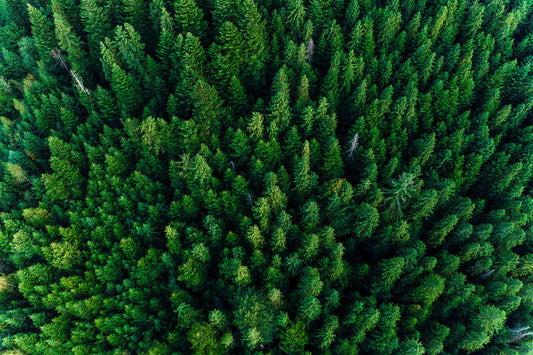 Sustainability