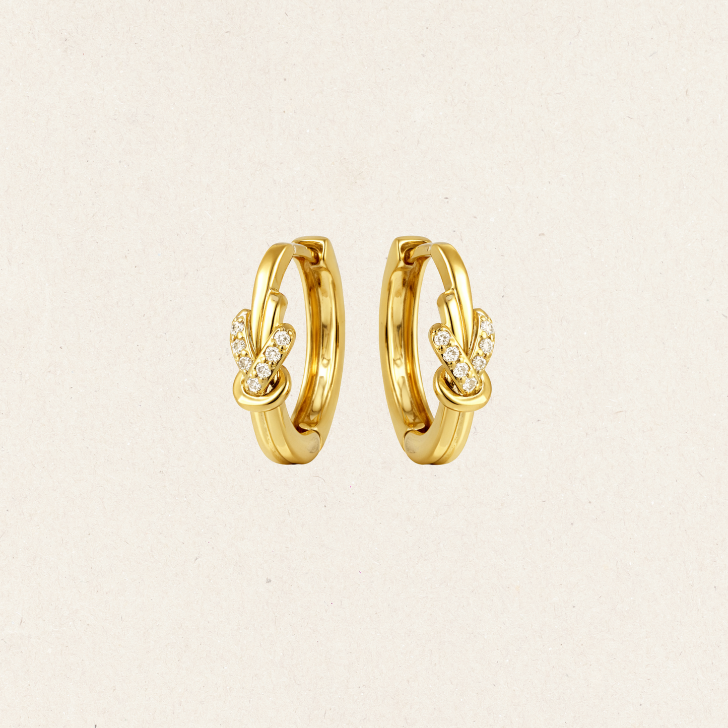 Eternal Loop Hoop Earrings